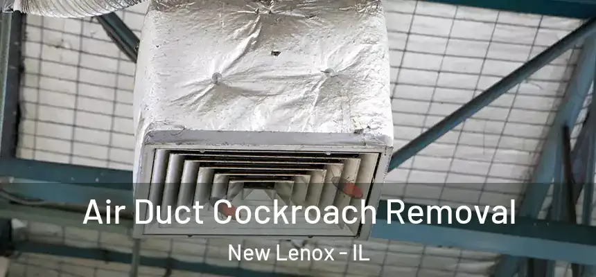 Air Duct Cockroach Removal New Lenox - IL