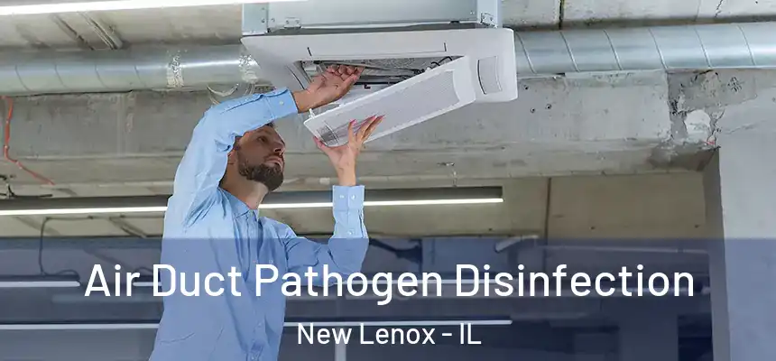 Air Duct Pathogen Disinfection New Lenox - IL