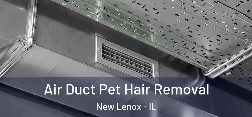 Air Duct Pet Hair Removal New Lenox - IL