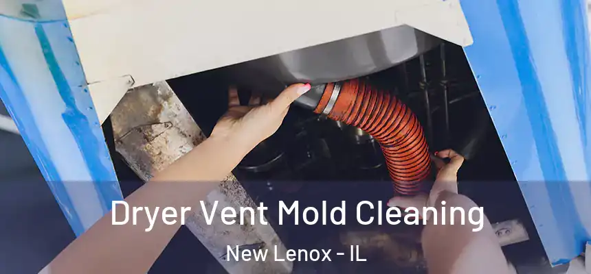  Dryer Vent Mold Cleaning New Lenox - IL