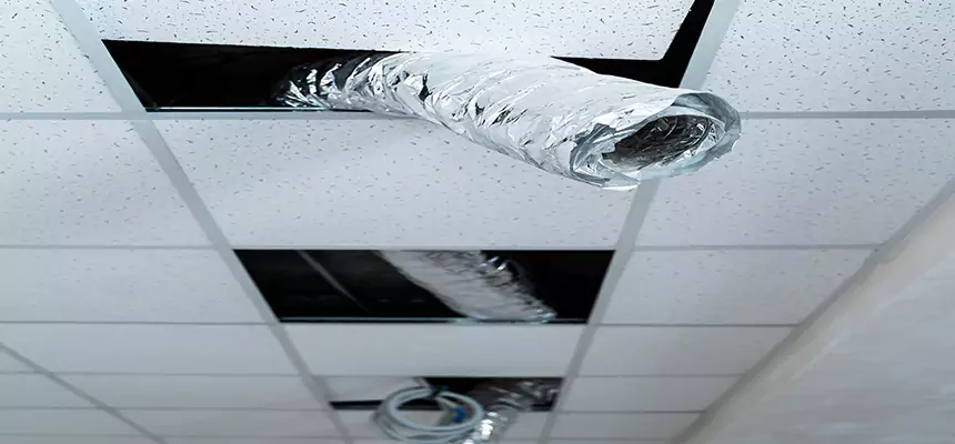 Affordable HVAC Sanitizing After Pest Removal in New Lenox