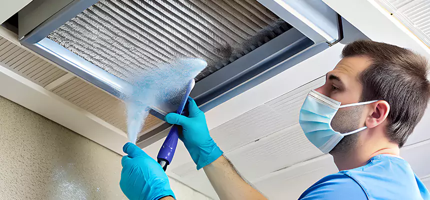 Proactive Dryer Vent & Auxiliary Duct Pollen Cleanup in New Lenox, IL