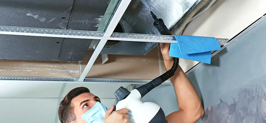 Our Air Duct Rodent Removal Services in New Lenox, IL