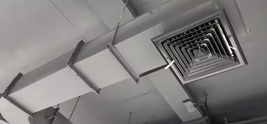 Restorative Allergy Relief Vent Cleaning – Coil, Blower & Housing Detail in New Lenox