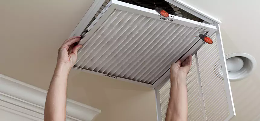 Our Insect Removal from Air Ducts Services in New Lenox, IL