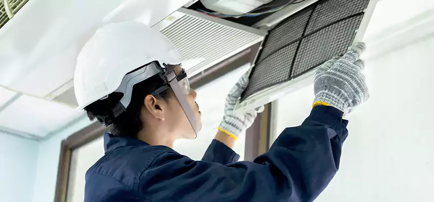 Our Mold & Mildew Removal from Air Ducts Services in New Lenox, IL