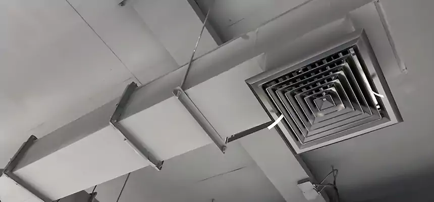 Our Rodent Droppings In Vents Services in New Lenox, IL