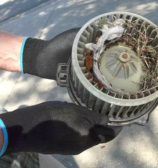 About Air Duct Rat Removal in New Lenox, IL