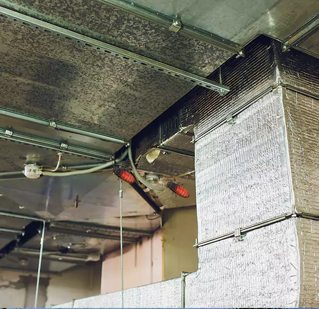 Why Homeowners & Businesses Trust Us in New Lenox, IL?