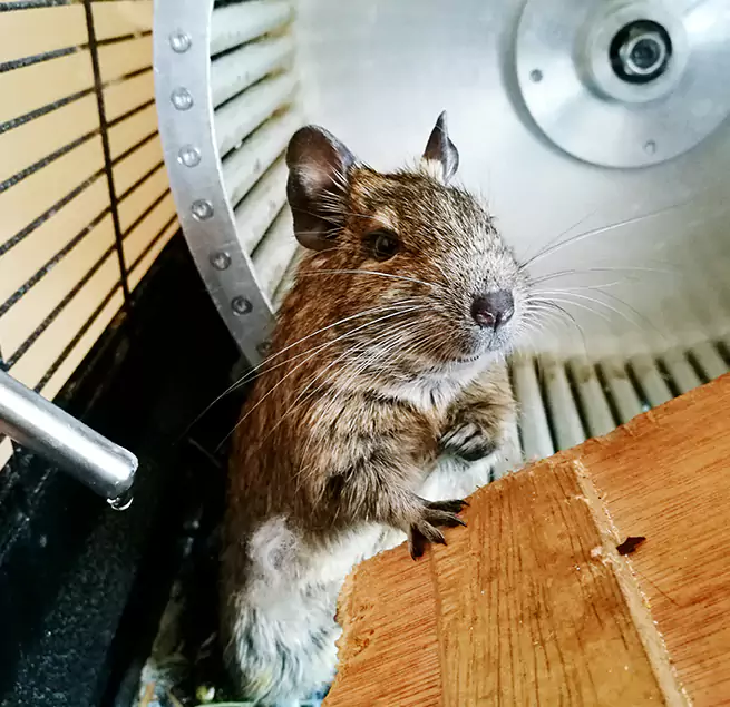 Why Homeowners & Businesses Trust Us New Lenox, IL?