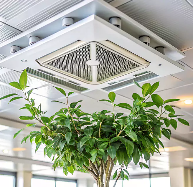 Why Homeowners & Businesses Trust Us in New Lenox, IL?